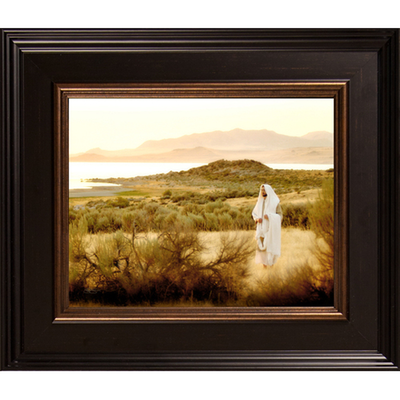 The Lord Is My Shepherd (15x13 Framed Art)