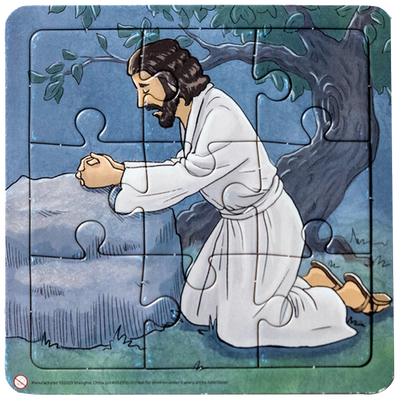 In the Garden 9 Piece Puzzle
