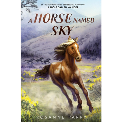 A Horse Named Sky