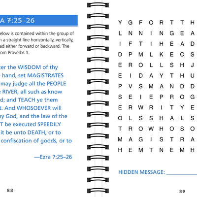 Brain Games Large Print Bible Word Search, , large