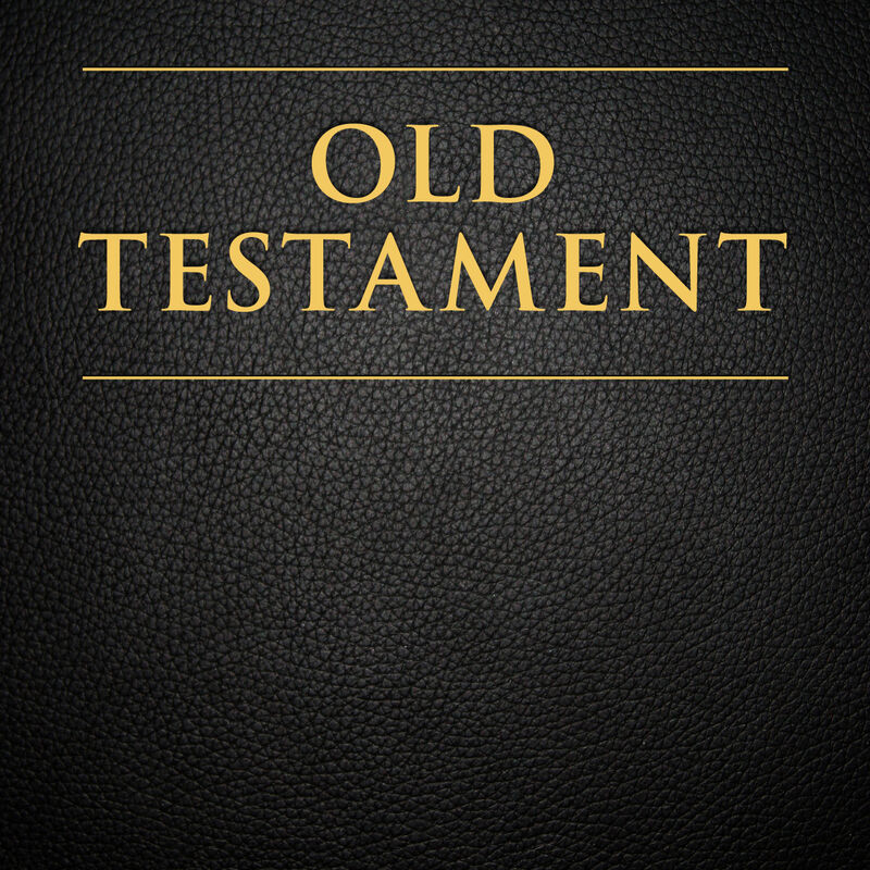 The Official Audio for the Old Testament: Female Voice, , large image number 0