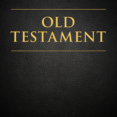 The Official Audio for the Old Testament: Female Voice