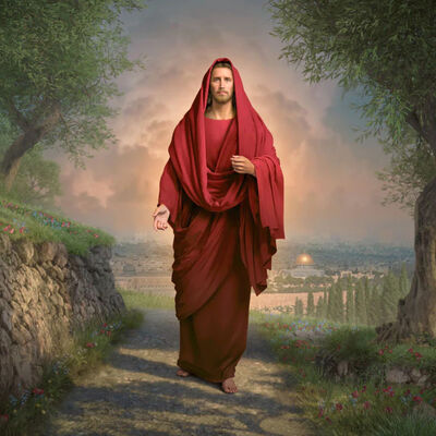 In His Majesty and Power (27x37 Framed Canvas Print)