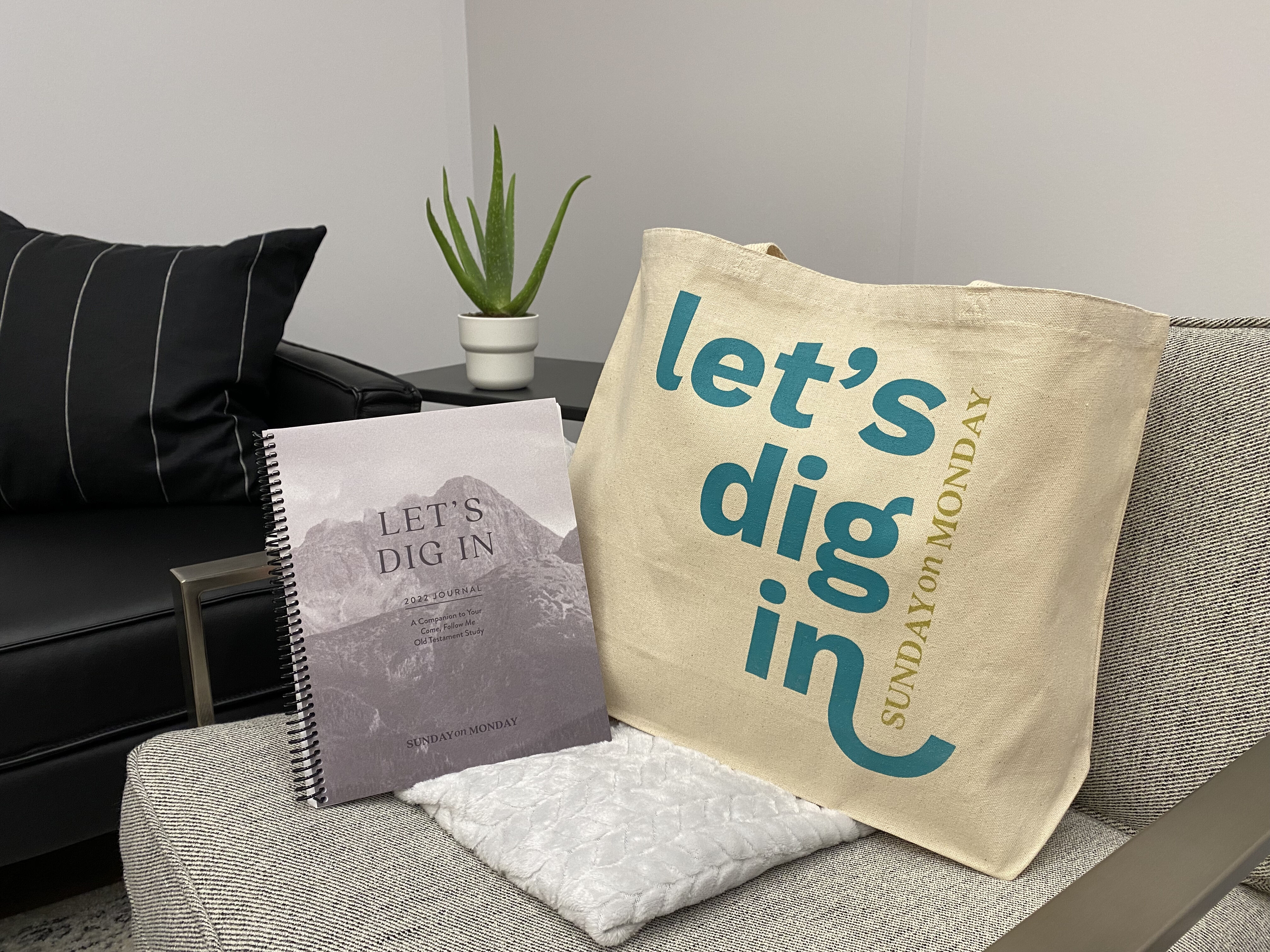 This is My Bible Study Bag - Canvas Tote Bag – Bridgett Kay Designs