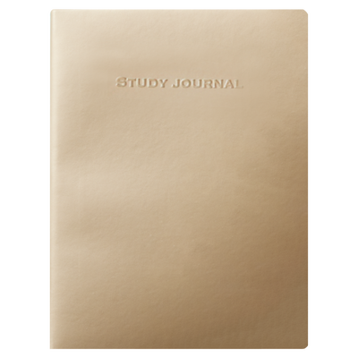 Study Missionary Journal