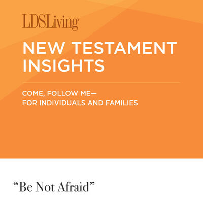 New Testament Insights from Come, Follow Me—For Individuals and Families: Matthew 14-15; Mark 6-7; John 5-6 · March 25-31, 2019