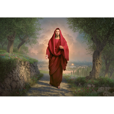 In His Majesty and Power (27x37 Framed Canvas Print)