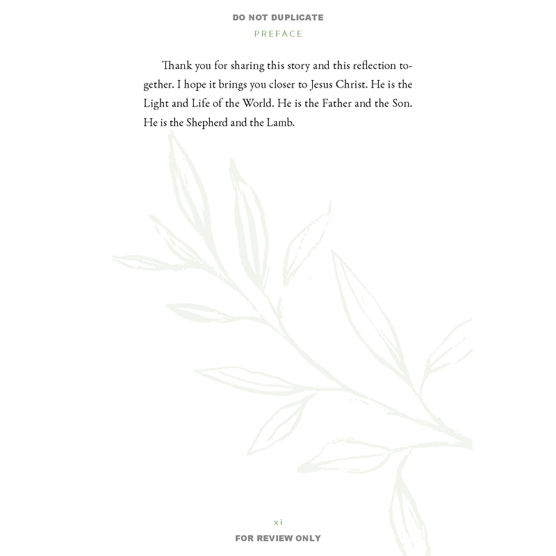 
           image number 7
