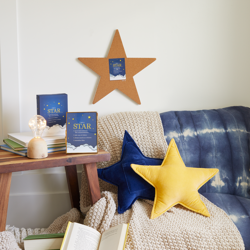 Star Pillow
