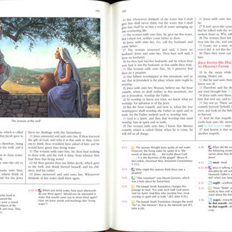 The New Testament for Latter-day Saint Families, , large image number 3
