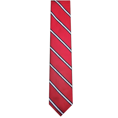 Men's Jackson Polyester Necktie