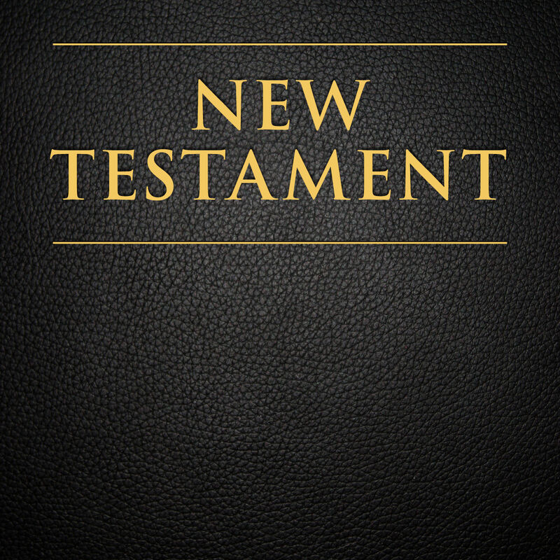 The Official Audio for the New Testament: Male Voice, , large image number 0