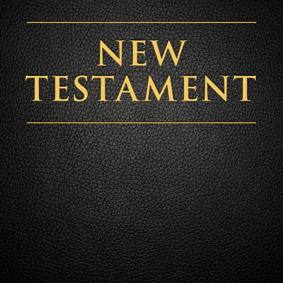 The Official Audio for the New Testament: Male Voice