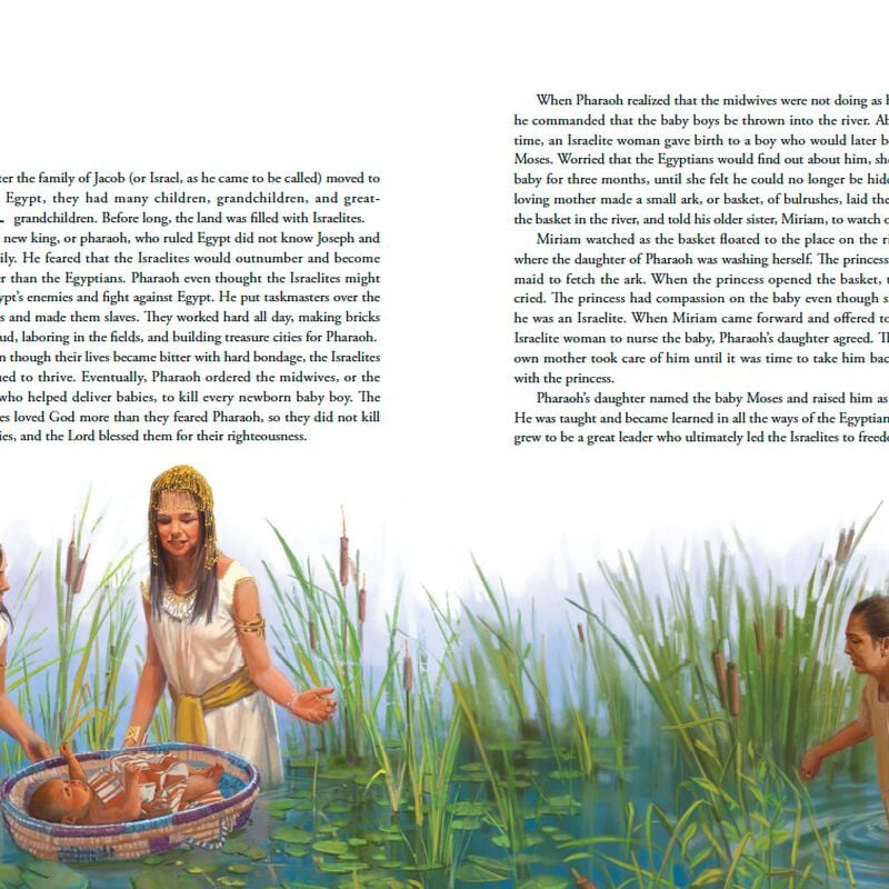 Illustrated Bible Stories for Latter-day Saints, , large image number 2