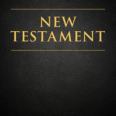 The Official Audio for the New Testament: Female Voice