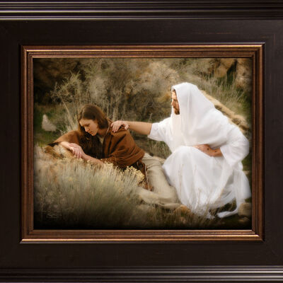 The Comforter (15x13 Framed Print)