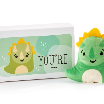 Dino Pocket Hug with Gift Box