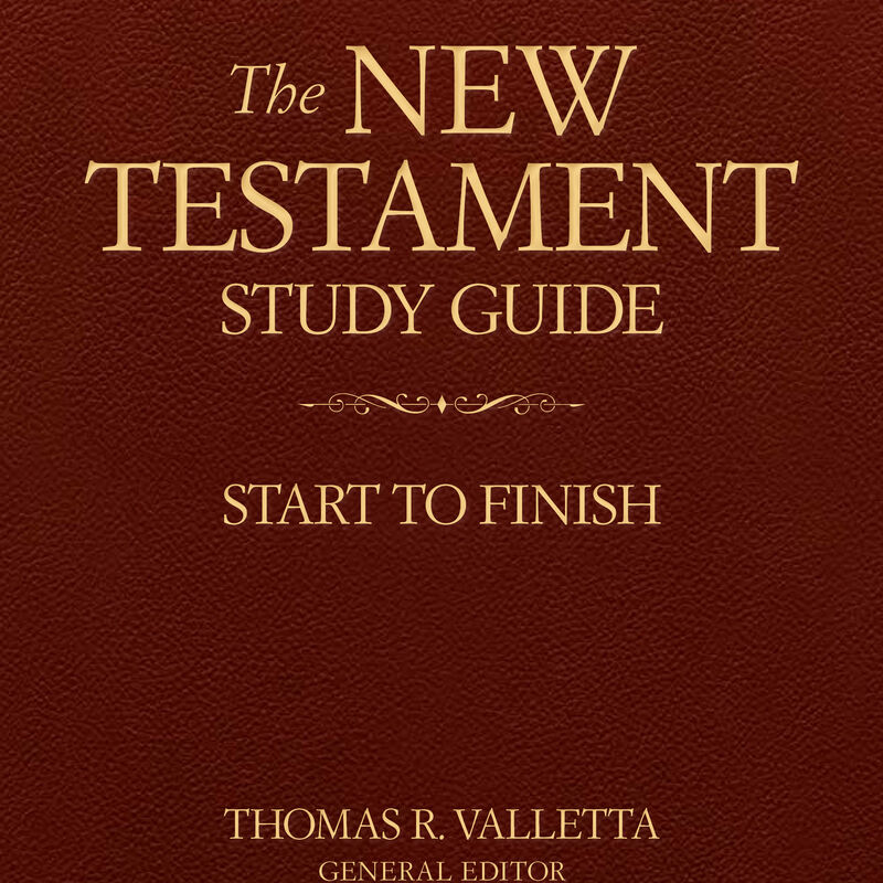 The New Testament Study Guide: Start to Finish, , large image number 0