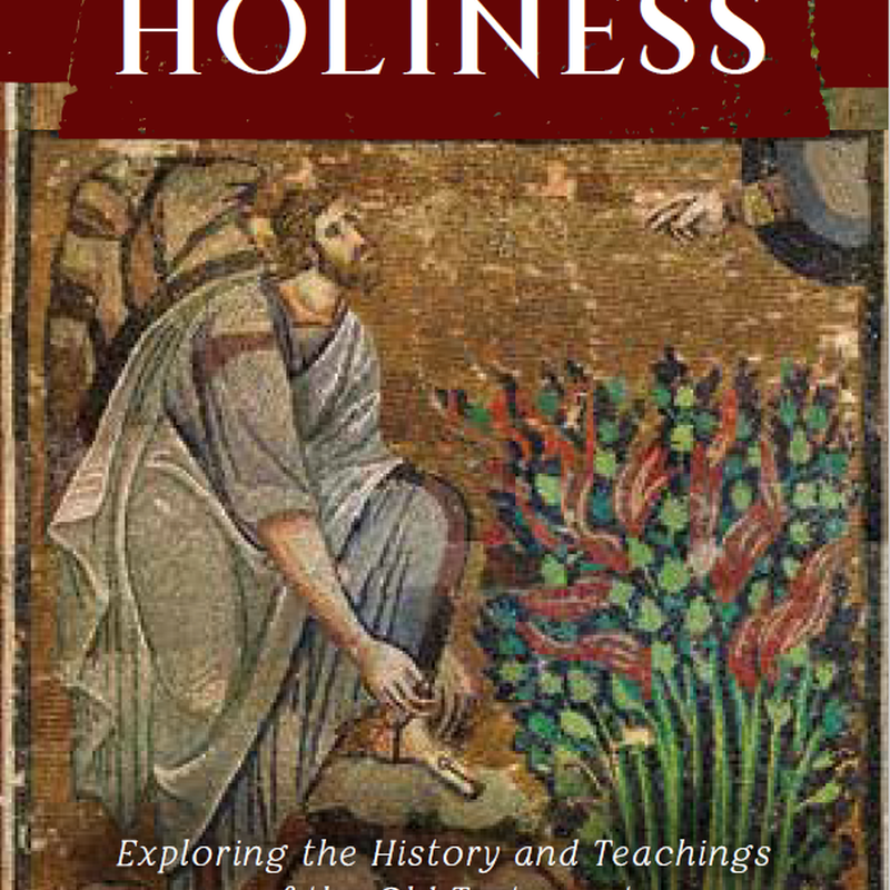Approaching Holiness, , large image number 0