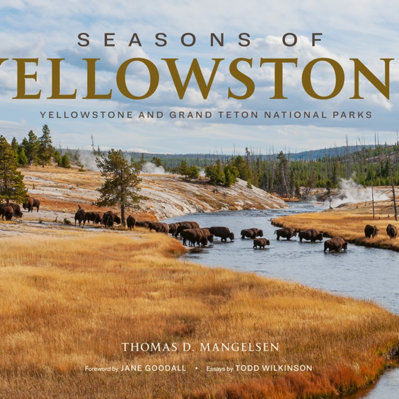 Seasons of Yellowstone