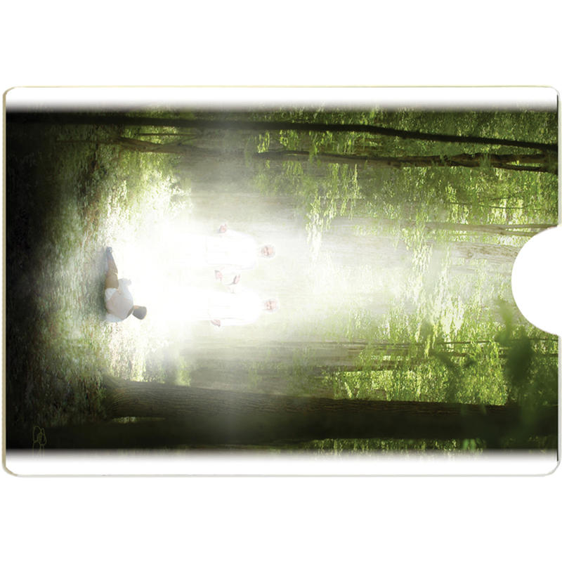 
           image number 0
