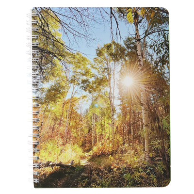 Let Your Light So Shine Notebook