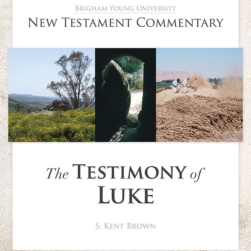 The Testimony of Luke, , large image number 0