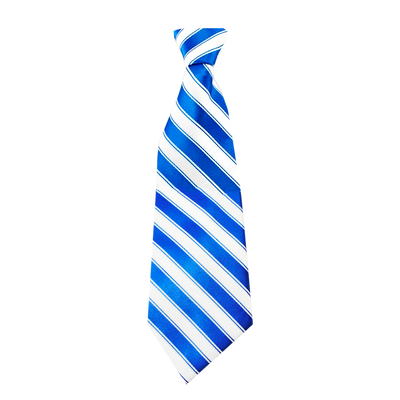 Youth Blue/White CTR Necktie