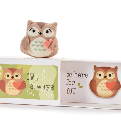 Owl Pocket Hug with Gift Box, , large