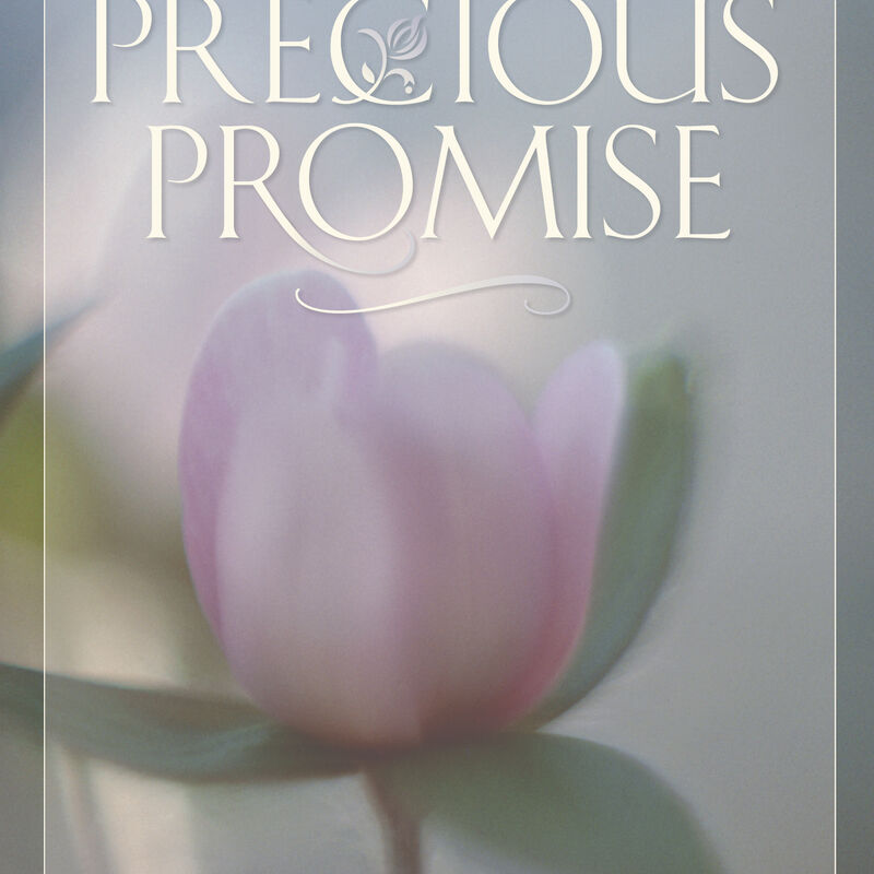 The Precious Promise, , large image number 0