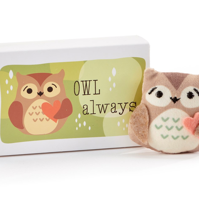 Owl Pocket Hug with Gift Box