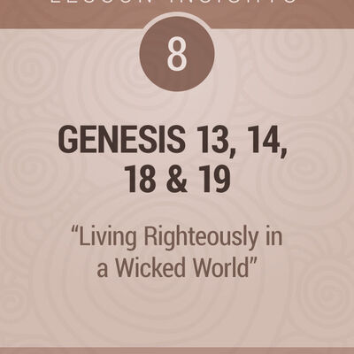 Lesson Insights: Old Testament #8