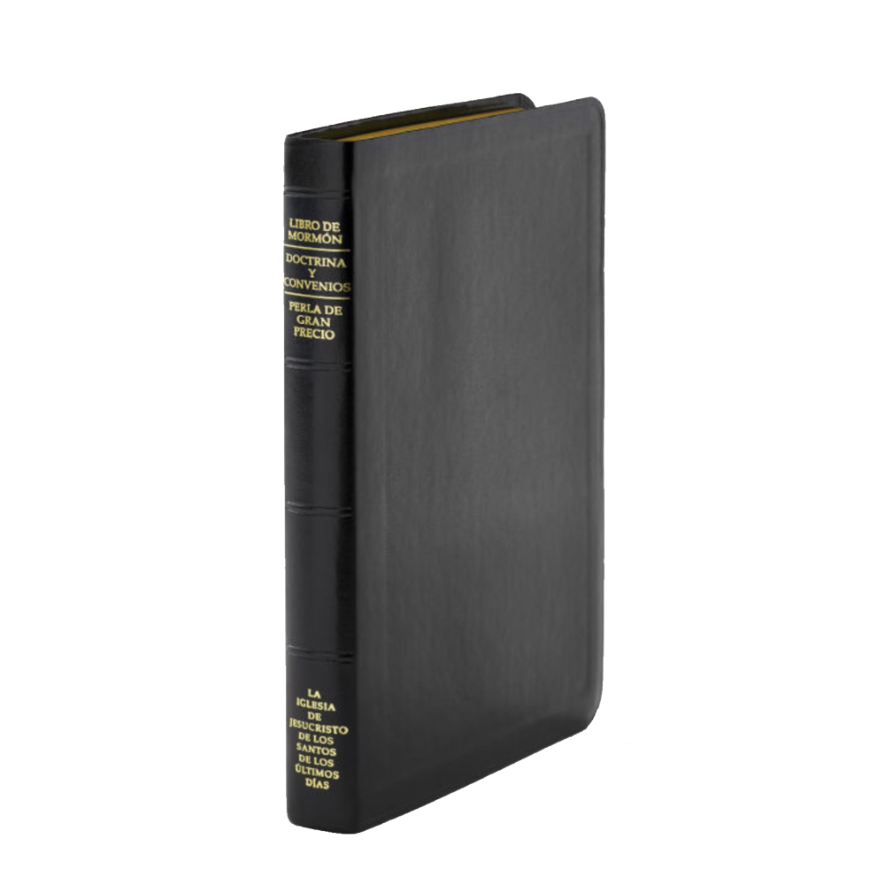 Custom Spanish Triple Soft Leather Scripture Case